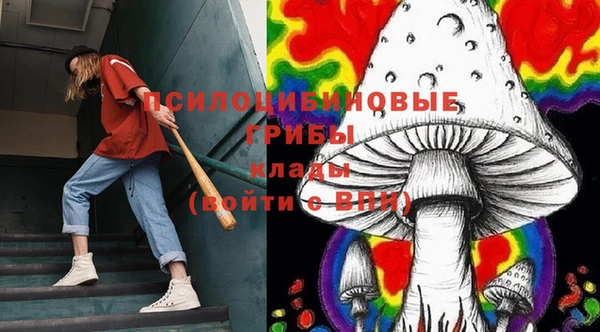 прущие крисы Абинск