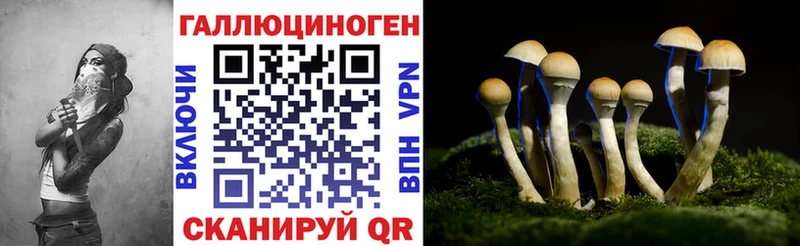 Псилоцибиновые грибы GOLDEN TEACHER цены наркотик omg ссылка Кировград